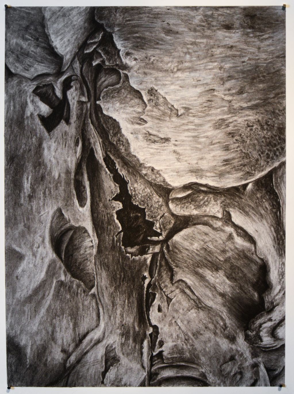 Black and white graphite and charcoal drawing of textured surface