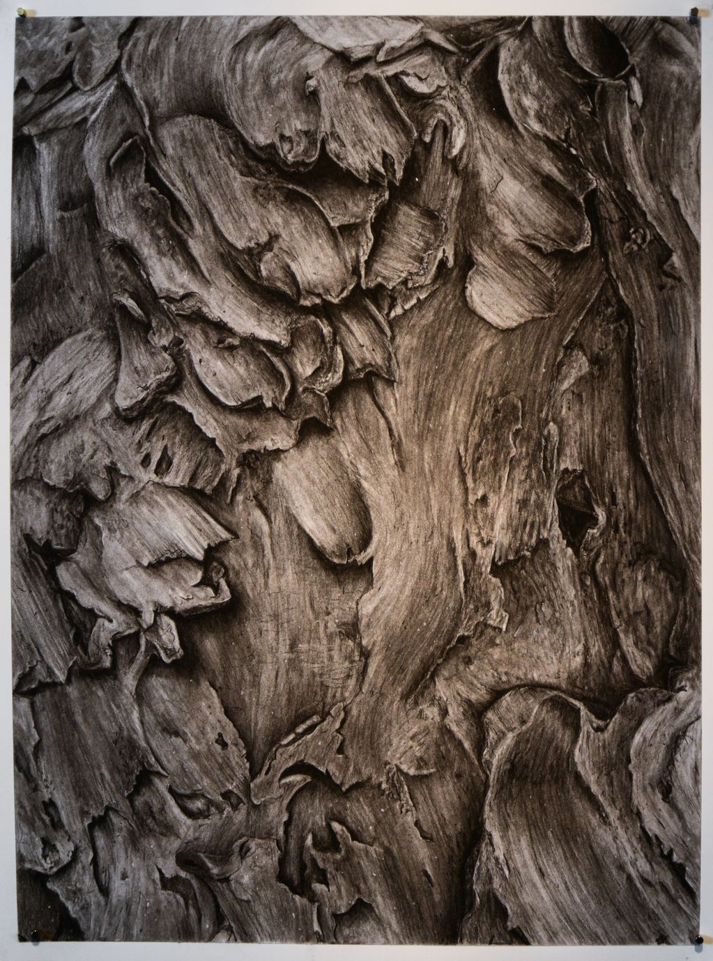 Black and white charcoal rendering of textured stoneware surface