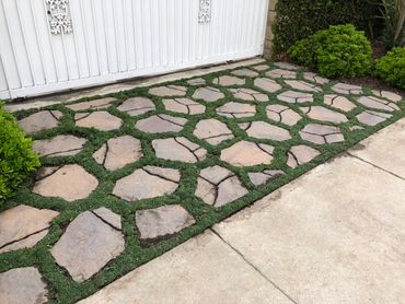Dwarf Carpet of Stars between flagstone. A great combination!