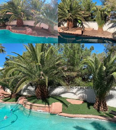 StarCarpet® great for pools