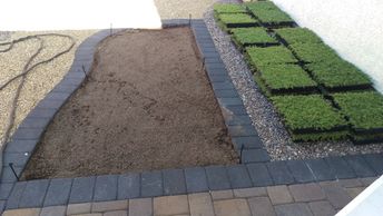 StarCarpet flats like sod