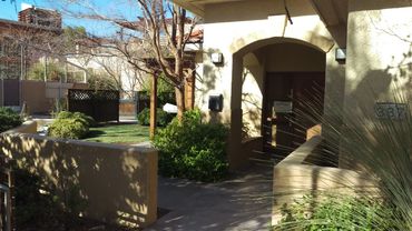 A Living, Evergreen Lawn in Las Vegas that blooms twice a year, welcomes traffic, and is non-toxic!