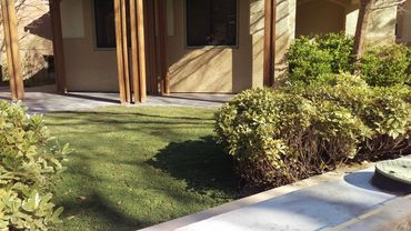 Springs Preserve Water Smart Lawn in Las Vegas