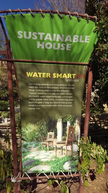 Springs Preserve in Las Vegas has a 'Dwarf Carpet of Stars' lawn. Exclusively from StarCarpetLV!