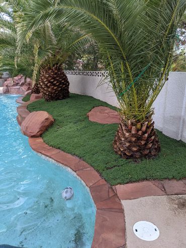 Completely excels around pools!  Minimal maintenance.  Pool landscape with the greenery of a lawn!