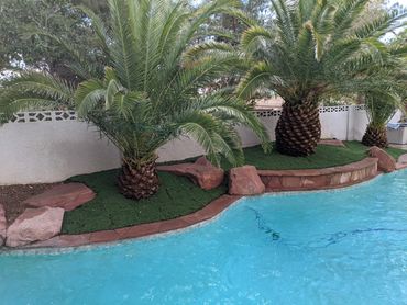 Poolside Landscape at its finest!  No mess means no maintenance and no mess in the pool!