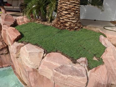 Keep your lawn looking sharp without the need to drag a mower around the edges and make a mess.