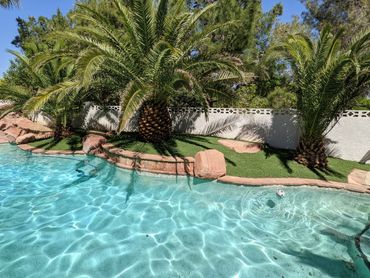 Poolscape that requires very minimal maintenance at best!  Keep it green poolside.