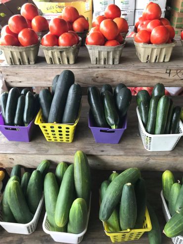 Tomatoes, zucchini and cucumbers
