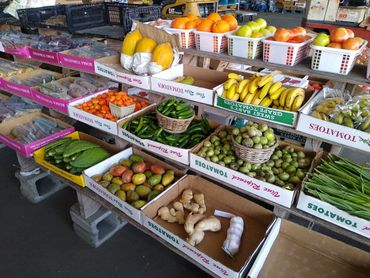 Peppers, mango, cactus