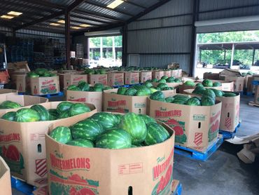 Watermelons