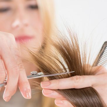 hairdresser, stylist, shears, scissors