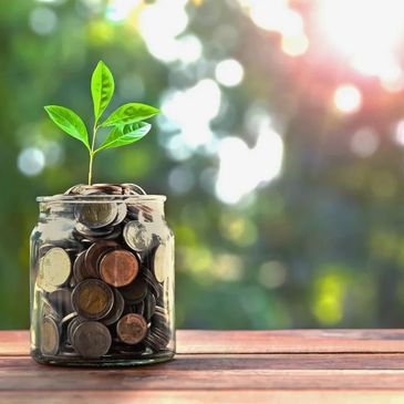 Financial Growth