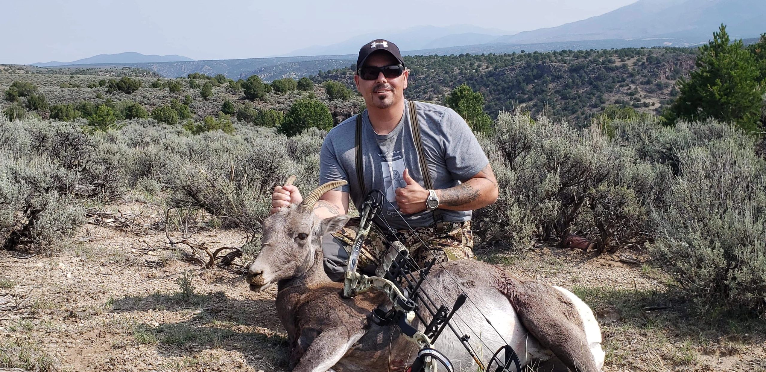 Draw hunt for Rocky Mountain Bighorn Sheep