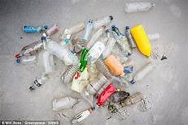 Plastic on our beaches