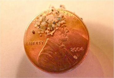 Size of microbeads on a copper penny