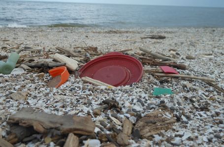 Trash on Traverse City Beaches