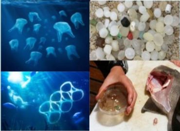 Microbeads and plastics in our water