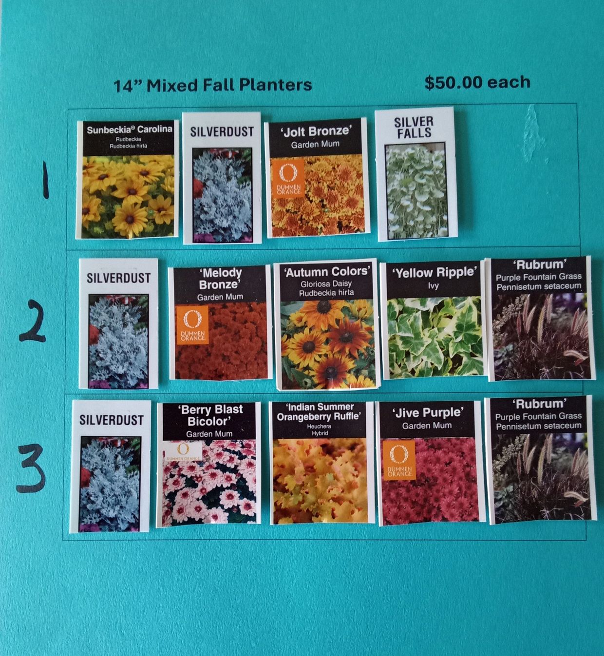 14" Mixed Fall Planters with various plants priced at $50 each.
