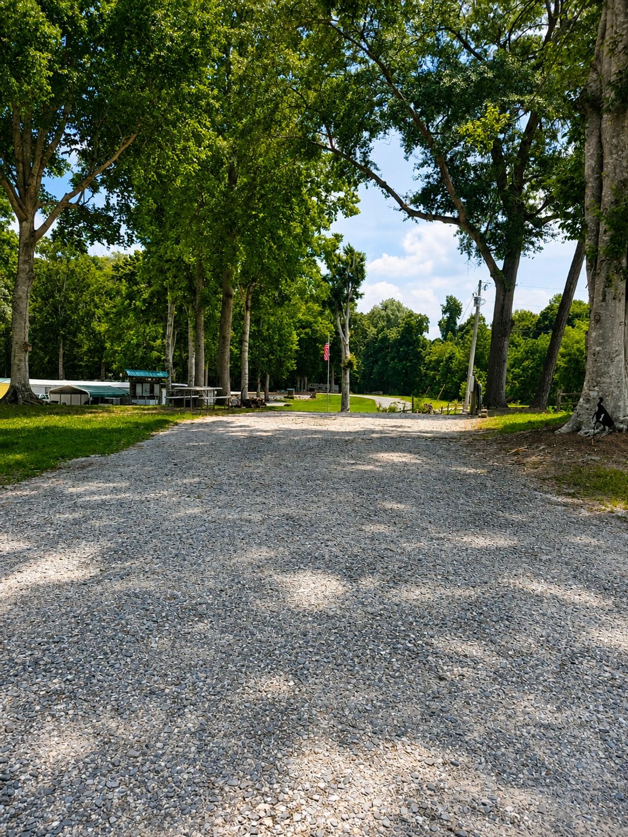 Gravel pathway in a park with trees and picnic tables.