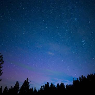 Night sky with stars shining bright