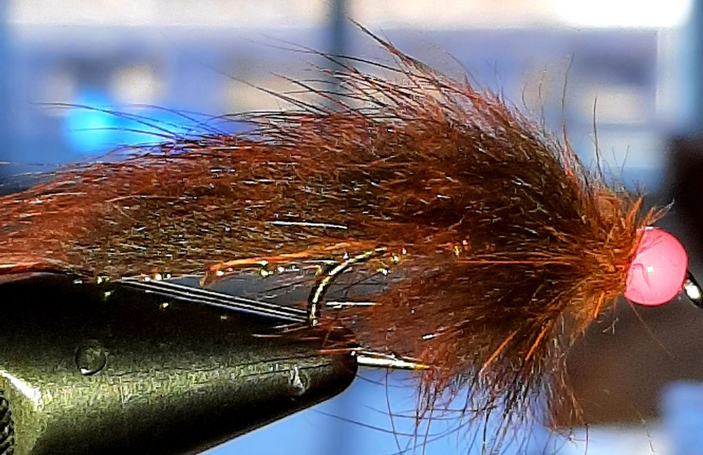 sea-trout
brown trout
zonker
trout fly
Newfoundland
St. John's
sea-run
fly fishing