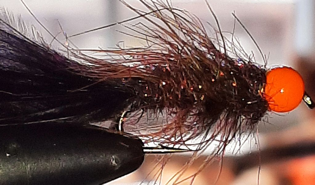 sea-trout
brown trout
woolly bugger
trout fly
Newfoundland
St. John's
sea-run
fly fishing