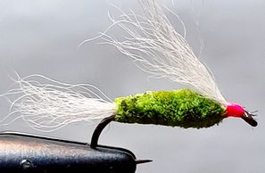 Atlantic salmon
Paddy Francis
salmon fly
salmon fishing
St. John's 
Newfoundland
Atlantic salmon fly