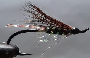 Atlantic salmon
None of Your Business
salmon fly
salmon guide
St. John's 
Newfoundland
fishing guide