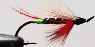Atlantic salmon
White Wing Thunder and Lightning
salmon fly
St. John's 
Newfoundland
fishing guide