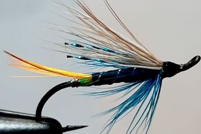 salmon fly
White Wing Blue Charm
fly tying
fishing guide
fly fishing
St. John's
salmon
Newfoundland