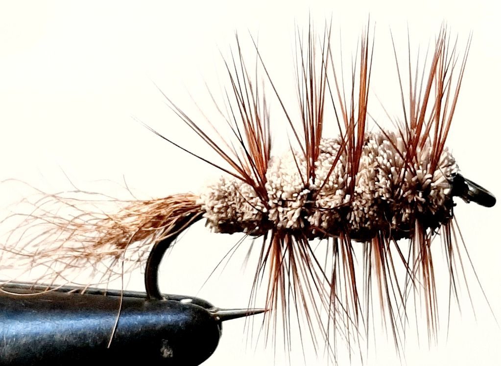 salmon fly
salmon bomber
brown bug
Newfoundland
Atlantic salmon
fly fishing guide
St. John's