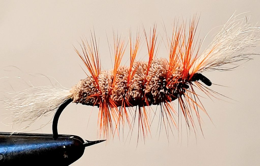 salmon fly
salmon bomber
orange bomber
Newfoundland
Atlantic salmon
fly fishing guide
St. John's