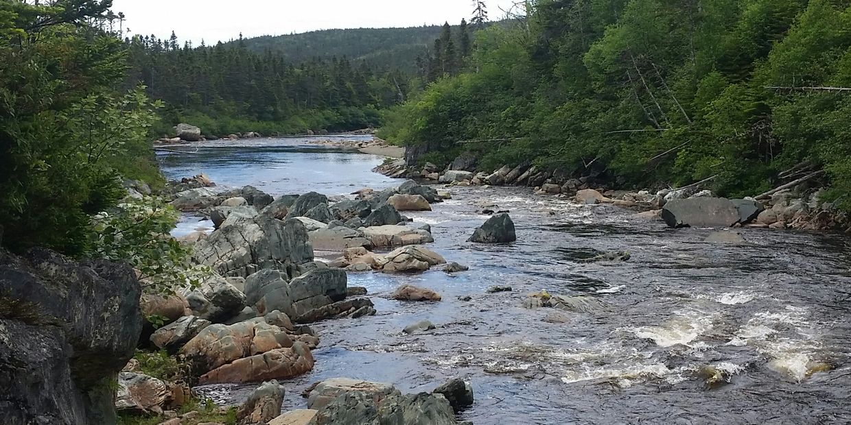 salmon
Atlantic salmon
fly-fishing
guides
guiding
St. John's
Newfoundland
Trepassey