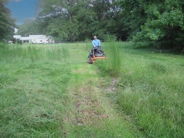 Bush hogging Grass with Tractor
