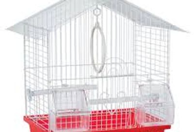 You are welcome to bring own small cage. 
Please ensure:
*Cage is no larger than 20/30 inches
 *Cage