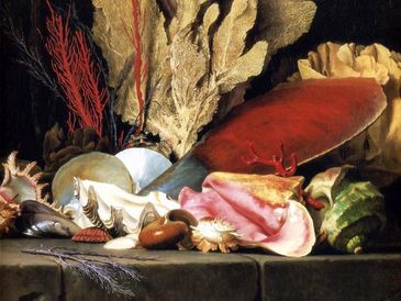 Anne Vallayer-Coster Still-Life with Tuft of Marine Plants, Shells and Corals