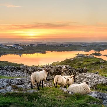 Galway, Ireland