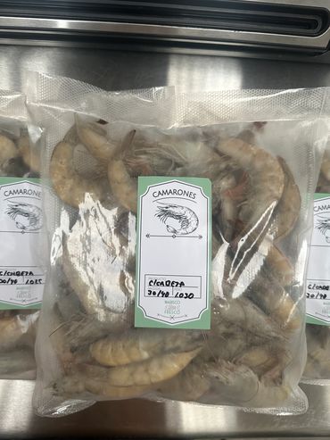 Camarón C/Cabeza