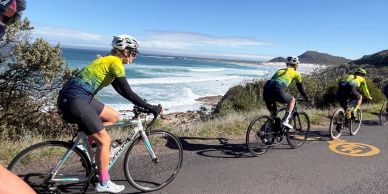 Cyclists ride along a coastal road with ocean views and clear skies.
