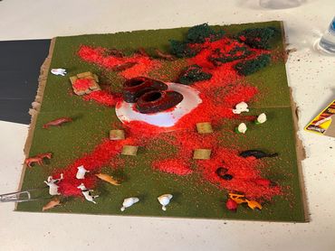 Environmental Science Project - Student was learning about the effects of volcanic eruptions.