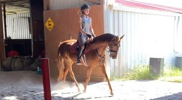 Sloan on Marigold, an American Saddlebred.