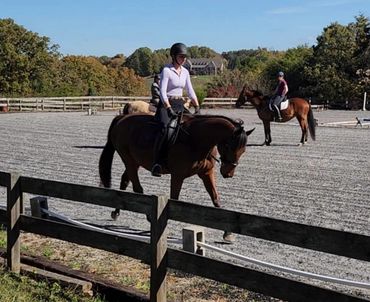 Sloan and Primary Colors, an OTTB she has restarted post track.