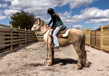 Sloan and Heaven’s Swift Sailor, her partner for MHF Mustang Spectacular.