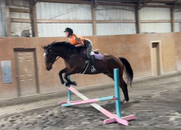 Sloan on Legend in Disguise, an OTTB she restarted post track.