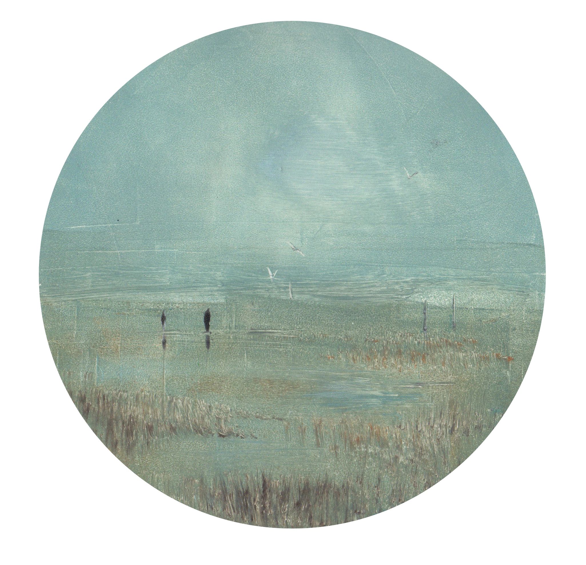 Wetlands with flying birds in the distance