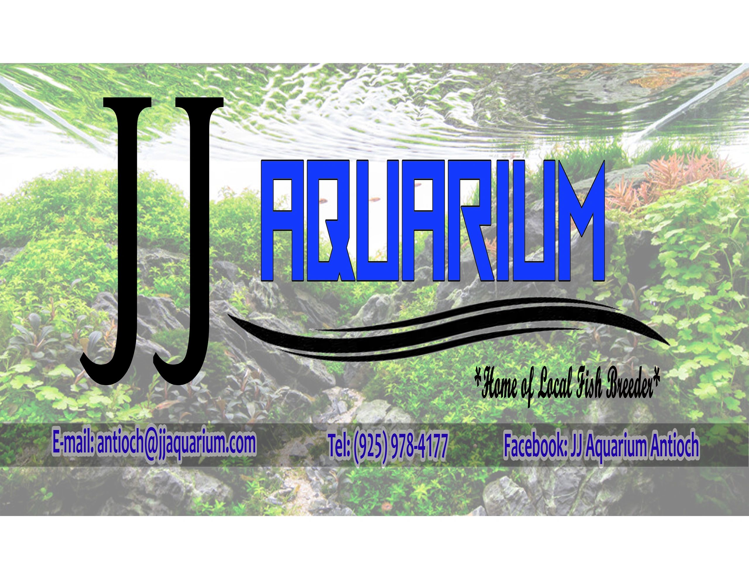 スーパーセール期間限定 Acquario様 ノート/メモ帳 - fishtowndistrict.com