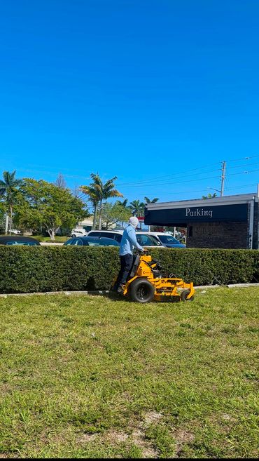 Fort Lauderdale landscaping