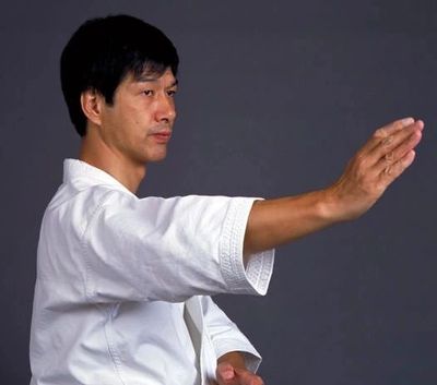 world shotokan karate federation, jindokai, kasuya sensei, wskf, dion risborg