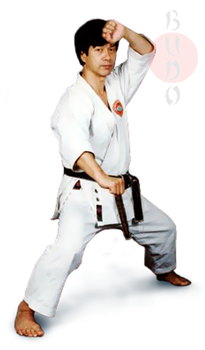 world shotokan karate federation, jindokai, kasuya sensei, wskf, dion risborg